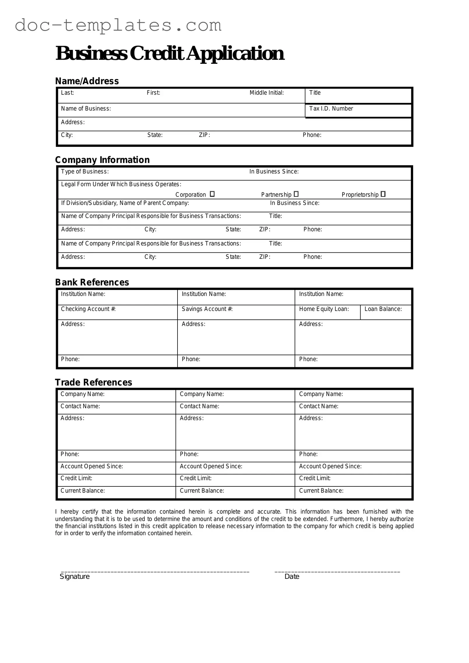 Download Business Credit Application Template
