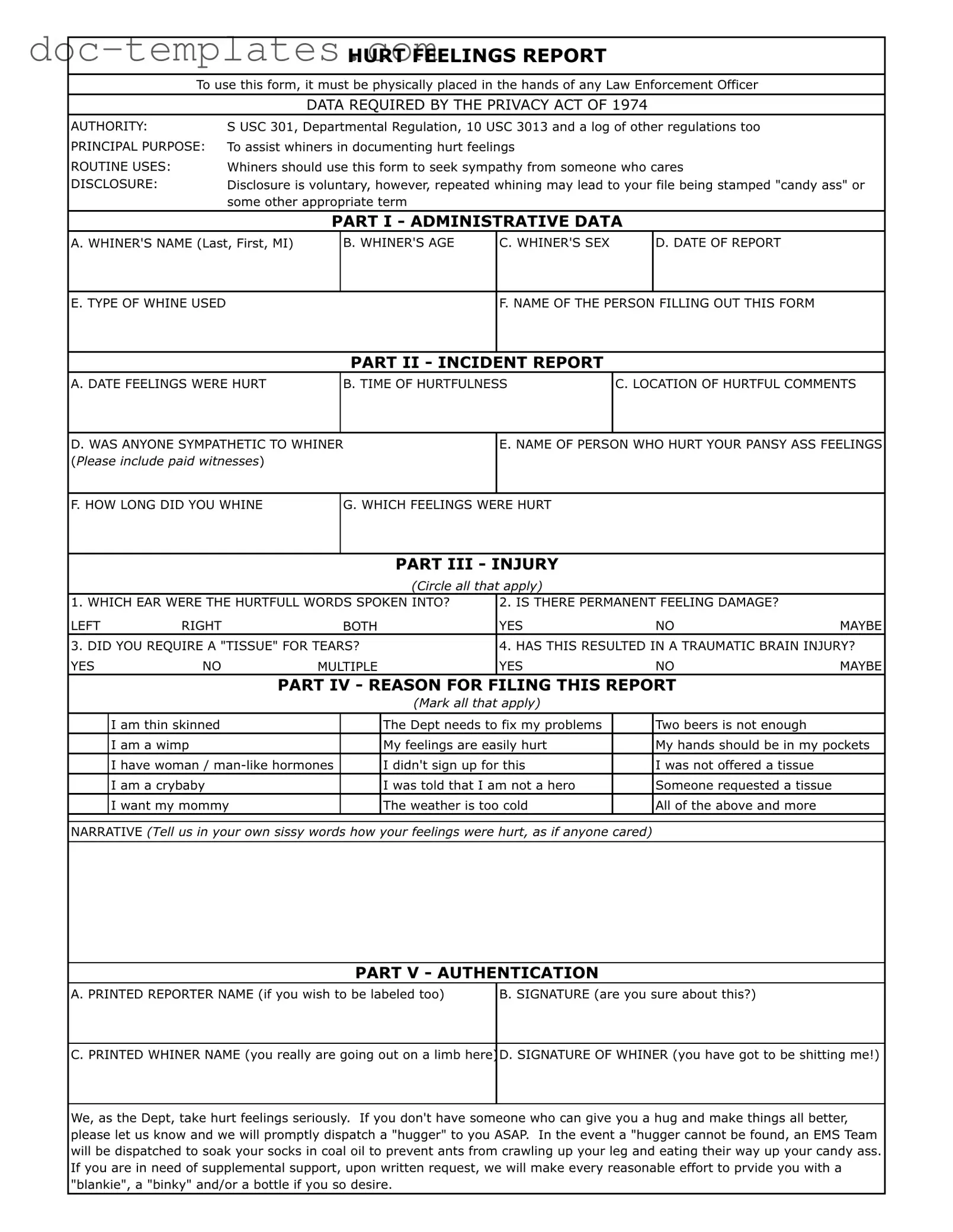 Download Hurt Feelings Report Template