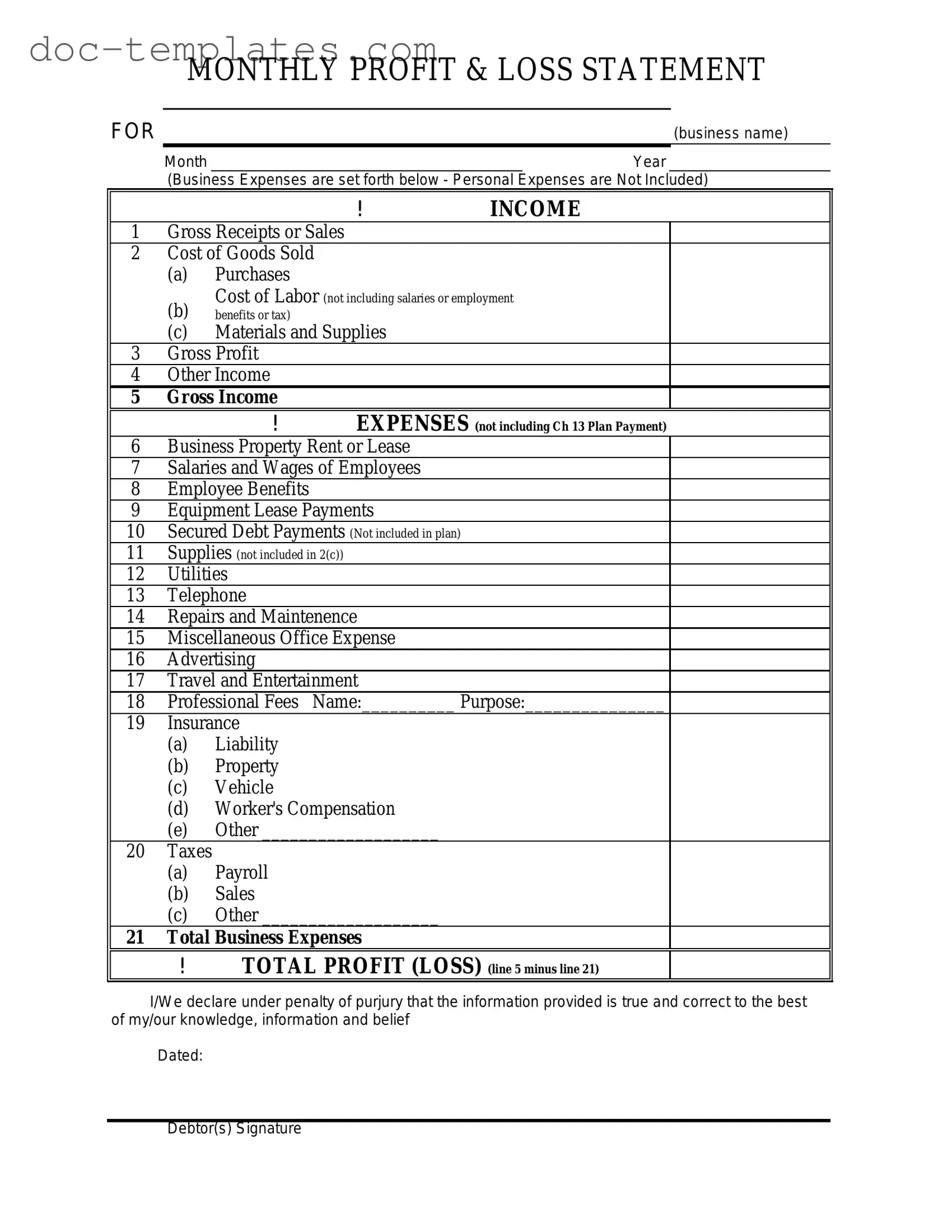 Download Profit And Loss Template