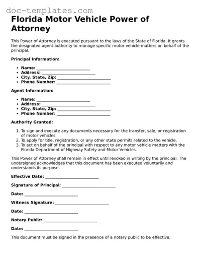Legal  Motor Vehicle Power of Attorney Form for Florida