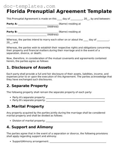 Legal  Prenuptial Agreement Form for Florida