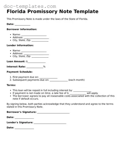 Legal  Promissory Note Form for Florida
