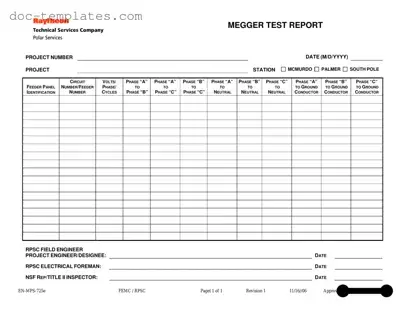 Download Megger Test Template