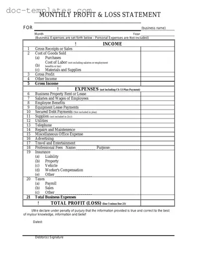Download Profit And Loss Template