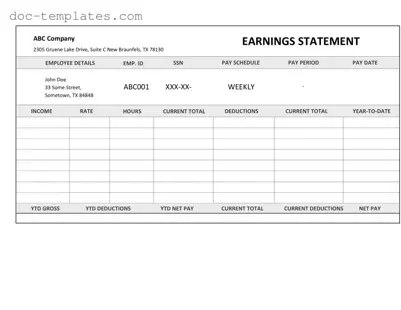 Download Independent Contractor Pay Stub Template