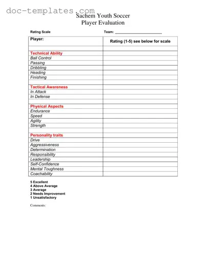 Download Soccer Player Evaluation Template