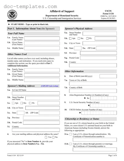 Download USCIS I-134 Template