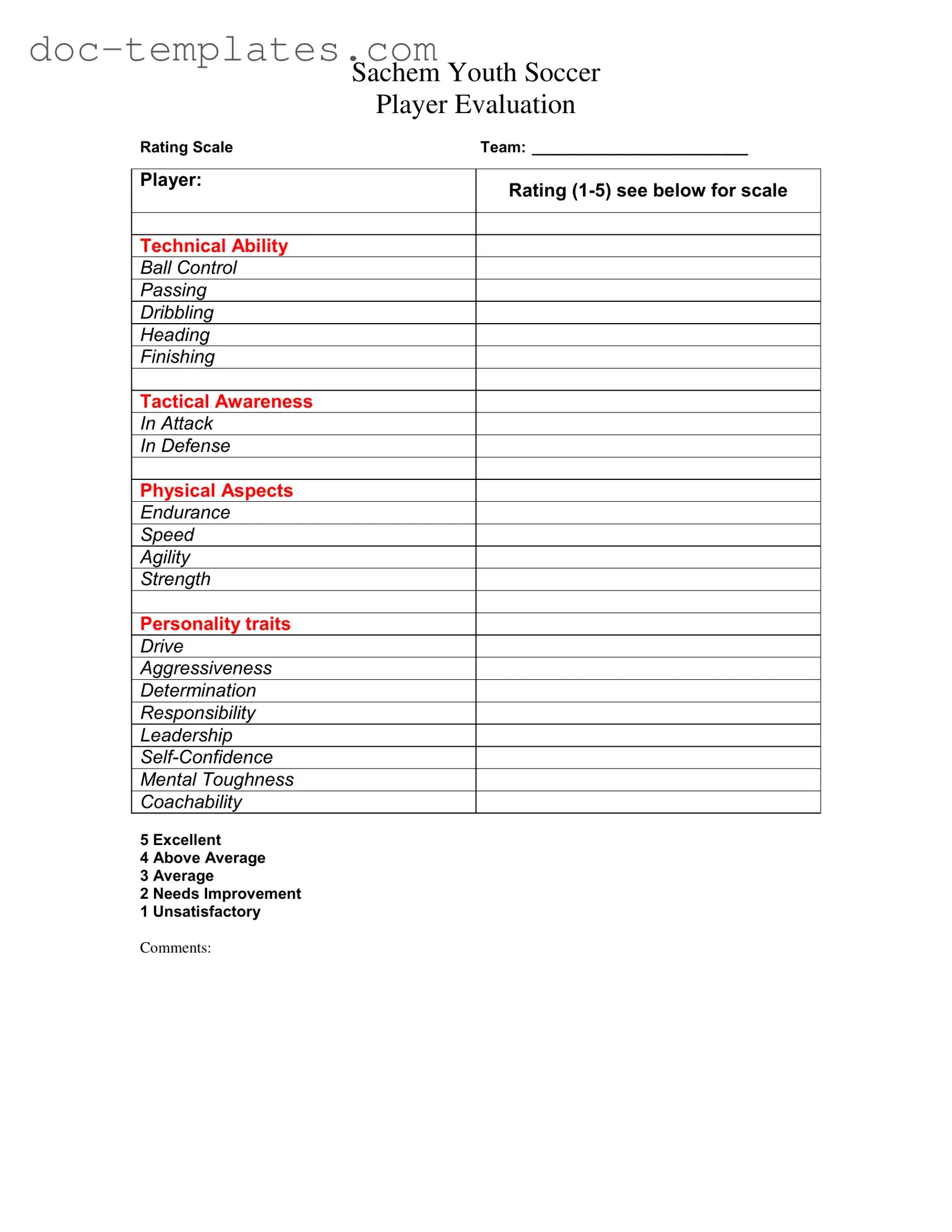 Download Soccer Player Evaluation Template